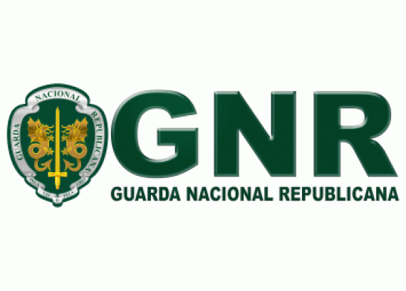 logo-distintivo-gnr-notiicias